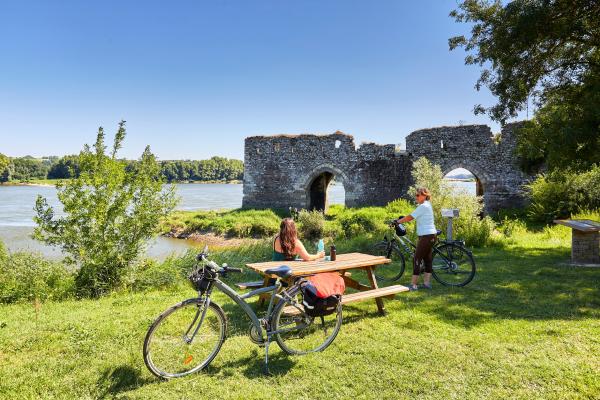 La Loire à Vélo au lieu-dit Le Cul du Moulin à Champtoceaux © A. Lamoureux