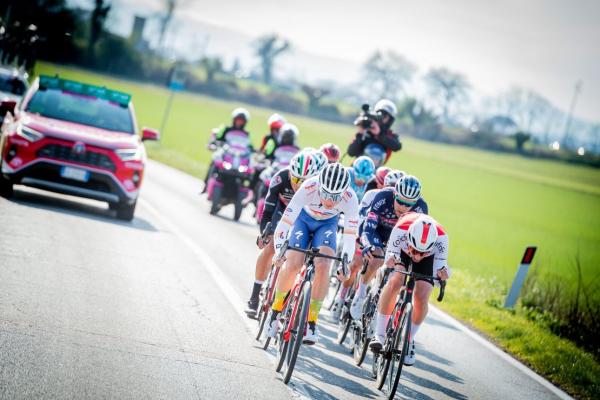 Peloton de cyclistes